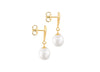 9ct Yellow Gold Freshwater Pearl Shell Drop Earrings