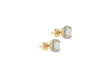 9ct Yellow Gold 0.02ct Diamond and Opal Halo Stud Earrings