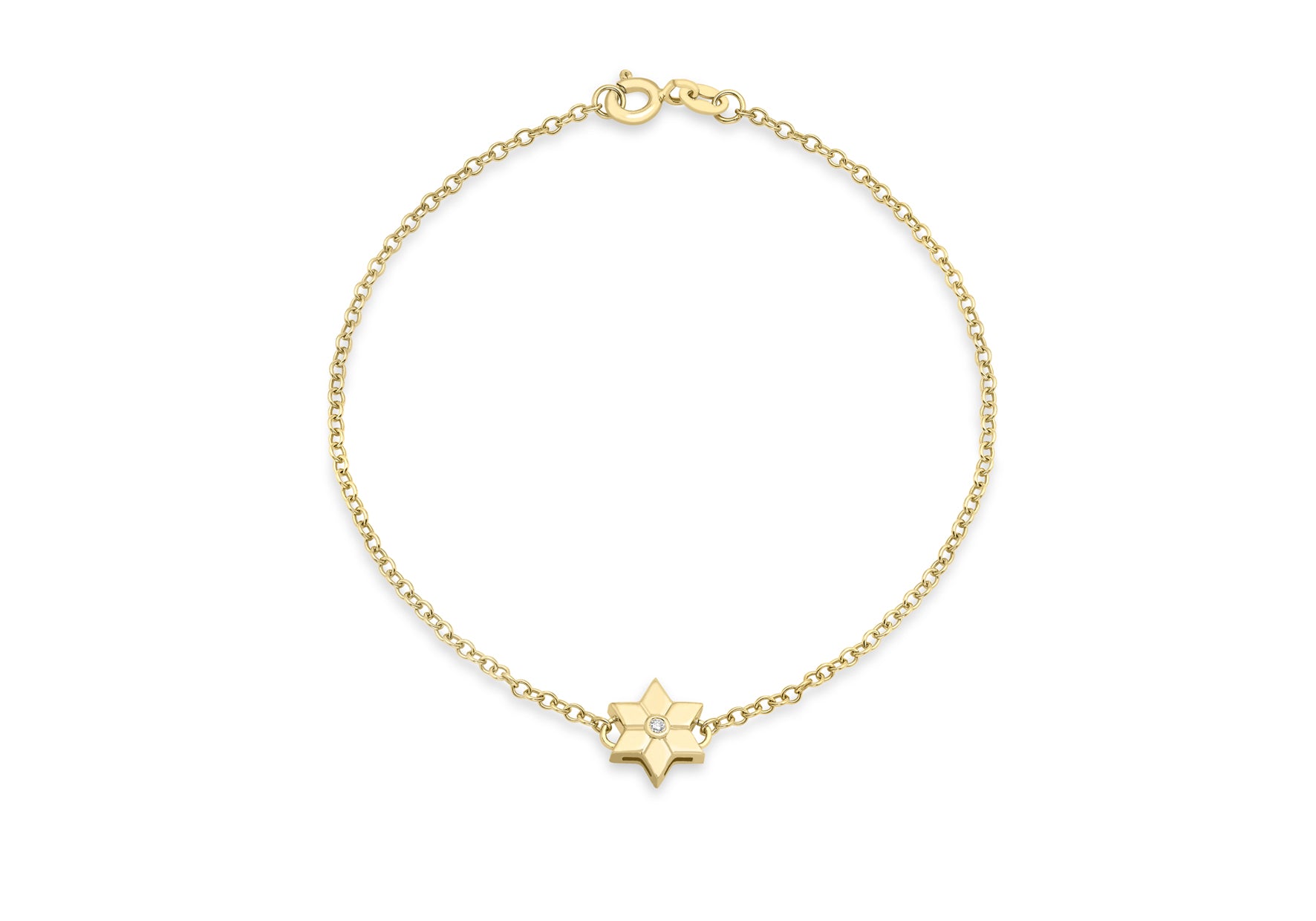 9ct Yellow Gold 0.01t Diamond Flower Charm Bracelet 19m/7.5"9