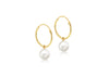 9ct Yellow Gold Freshwater Pearl Hoop Drop Earrings