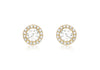 9ct Yellow Gold Zirconia  7.7mm Stud Earrings