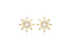 9ct Yellow Gold Zirconia  13.4mm Flower Stud Earrings